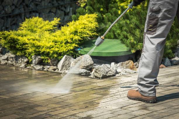 Best Roof Washing  in Leonia, NJ