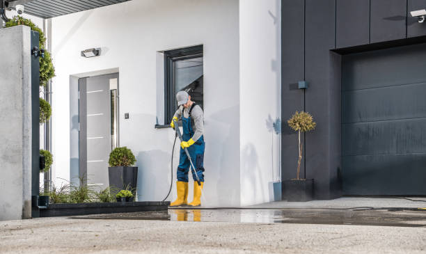Best Rust Removal  in Leonia, NJ
